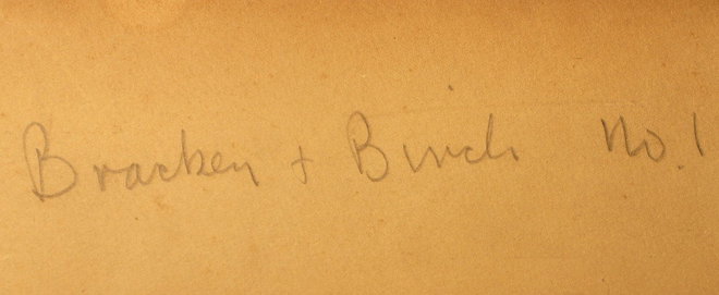 Note on the reverse of the Tennant watercolour painting 'Bracken & Birch No. 1'