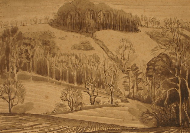 Valley Fields, Hedgerows & Trees — Trevor Tennant — Watercolour and ink on paper painting